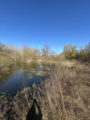 A CARTIGNY - ETANG Le grand Marais - (réf : L0118) - Prix : 34 000 €